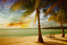 Fototapety Beautiful marine landscape with tree on a pristine beach