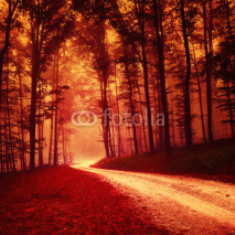 Fototapety Red colored fantasy forest