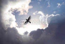 Naklejki Angel Bird in Heaven