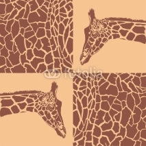 Obrazy i plakaty Giraffe patterns beige and brown