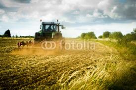 Fototapety Tractor ploughs field