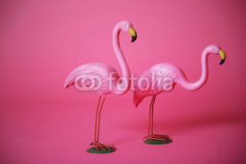 Obrazy i plakaty Pink flamingoes in studio