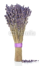 Naklejki Lavender Herb Flowers