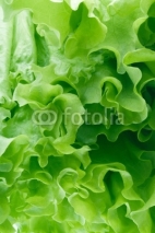 Naklejki green salad