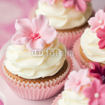 Fototapety Flower cupcakes