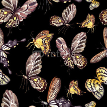 Fototapety Watercolor pattern with beautiful butterflies. Illustration