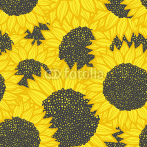 Fototapety color seamless sunflower pattern. Vector illustration