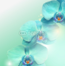 Naklejki flower Orchid background