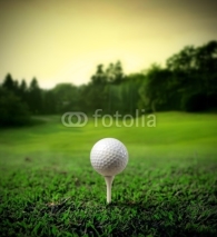 Fototapety Golf court