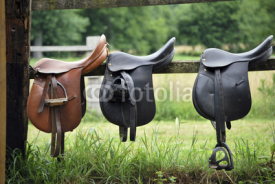 Fototapety Saddles