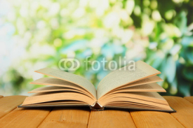 Obrazy i plakaty Opened book on bright background
