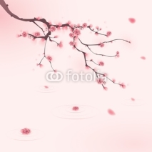 Fototapety oriental style painting, cherry blossom in spring