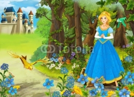 Obrazy i plakaty The princesses - castles - knights and fairies