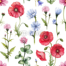 Fototapety Wild flowers illustrations. Watercolor seamless pattern