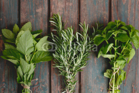Fototapety Fresh herbs