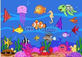 Obrazy i plakaty Sea Life