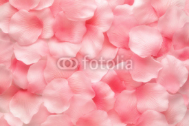 Naklejki Beautiful delicate pink rose petals