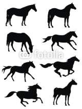 Obrazy i plakaty Horses