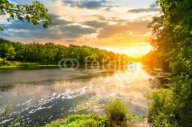 Fototapety Sunset over the river in the forest