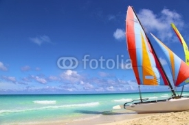 Obrazy i plakaty Catamaran sur plage bleu
