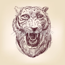 Naklejki Tiger hand drawn