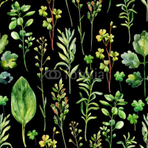 Fototapety Watercolor meadow weeds and herbs seamless pattern