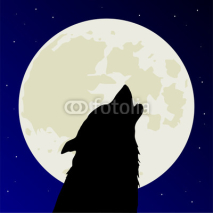 Fototapety Werewolf or wolf howls on full Moon