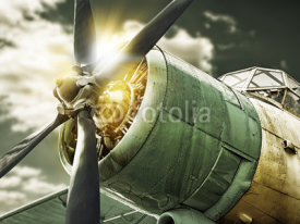 Obrazy i plakaty old airplane