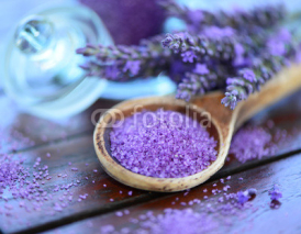 Fototapety Lavendel