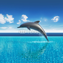 Fototapety Dolphin jumps above pool water, summer sky aquarium