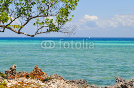 Fototapety Beach scene on the island of Zanzibar