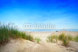 Naklejki Calm beach with dunes and green grass. Tranquil ocean