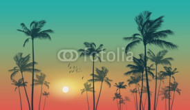 Naklejki Exotic tropical palm trees  at sunset