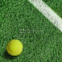 Fototapety yellow tennis ball on green grass