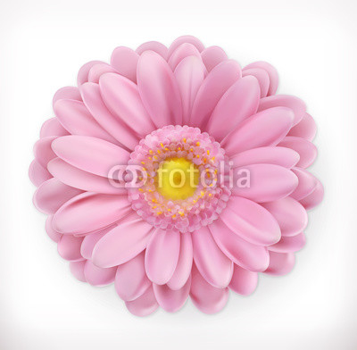 Spring pink flower, 3d vector icon