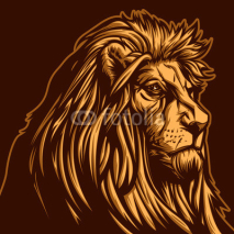 Naklejki Lion Head C