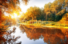 Naklejki River in a delightful autumn forest