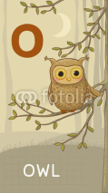 Naklejki Letter O, Owl, animal ABC