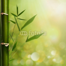 Naklejki Natural zen backgrounds with bamboo leaves