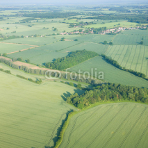Fototapety view over the early summer green fields