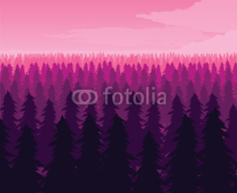 Obrazy i plakaty Background of landscape with deep fir forest.