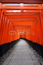 Obrazy i plakaty Fushimi Inari Shrine, Kyoto, Japan