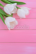 Naklejki Beautiful bouquet of white tulips on pink background
