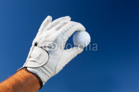 Naklejki Hand wearing golf glove holding a white golf ball