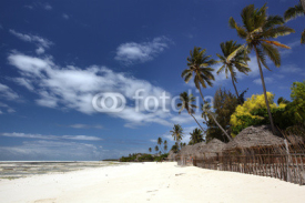Naklejki The beautiful beaches of Zanzibar