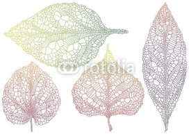 Naklejki textured autmn leaves, vector