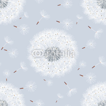 Obrazy i plakaty Seamless pattern grey with flowers dandelions