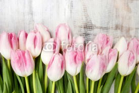 Fototapety Beautiful pink and white tulips on wooden background. Copy space