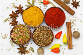 Naklejki Selection of Indian spices, close up