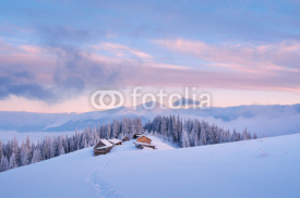 Fototapety Winter landscape at dawn